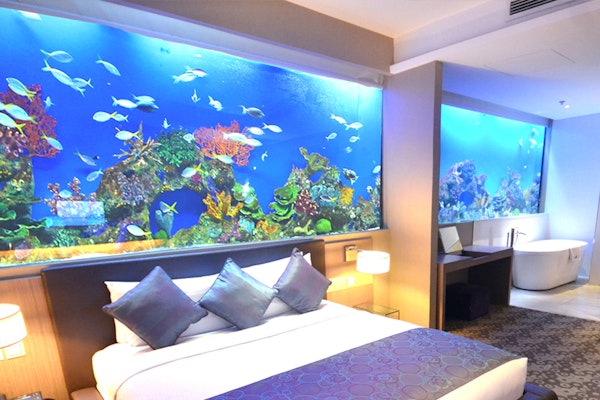 Aqua Supreme Room